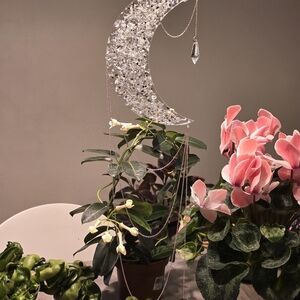 Crystal Moon Hanging Decor